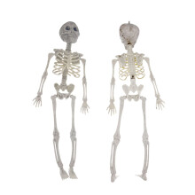 JoyMoreHome Décorations de fête d'Halloween avec squelette effrayant, accessoires de fête squelette complet pour une fête d'Halloween en