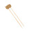 Cocktail Sticks Fruit Picks Light Brown for Drinks, 100 Picks for Appetizers 3