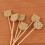Cocktail Sticks Fruit Picks Light Brown for Drinks, 100 Picks for Appetizers 5