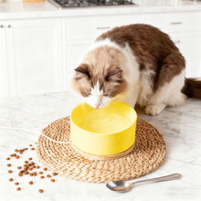 Pet Water Fountain Ceramic USB Heated 1 Pc