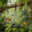 Winter Spring Shaped Hanging Bird Feeder 1 Pack 4