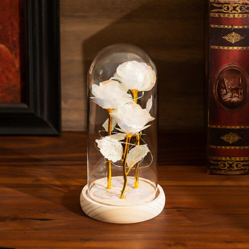 Preserved Rose Night Light for Anniversaries, Birthdays, 1