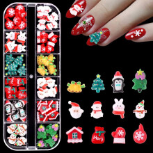Weihnachtliches Nagelkunst-Set, 3D-Harz-Winterdesigns, 12-teilig