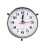 65mm Quartz Clock Insert with Arabic/Roman Numerals 1