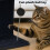Skylos Cat Tree Tower Big Perch Bed Spacious 4