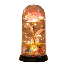 Veilleuse LED en forme de rose sous dôme de verre avec rose préservée et deux