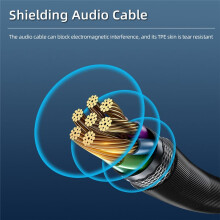 Lavalier Microphone for X4 Lavalier Microphone Sports Camera Recording Mic TypeC Port Accessory