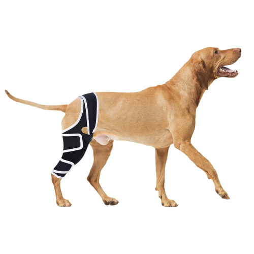 Dog Rear Leg Brace for Knee Hip ACL Support 1
