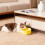 Pet Water Fountain Ceramic USB Heated 1 Pc 5