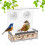 Bird feeder no-mess clear treat dispenser set 5