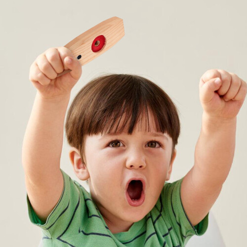 2 τεμάχια Kazoo Musical Wood Assorted Small Organic Instruments, Μικρά Μουσικά Όργανα, Οικογενειακή 2