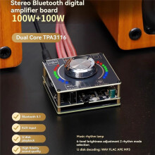 Stereo Amplifier Module 100W+100W Digital Audio Power Amplifier 9-24V/5A for Home Theater