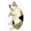 Whiteboardmagnet för katt, 1 st 1