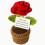Red Rose Crochet Flower Gift with Message Card 1pc 1