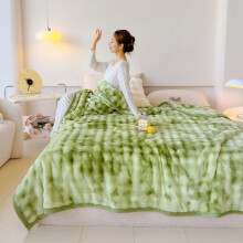 Fluffy Plush Fleece Throw Blanket, Soft Cozy Blanket for All Seasons, Tea Green, 27.5 x 39.4 Inch