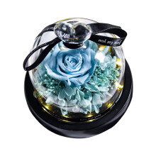Preserved Real Rose with LED Light – Eternal Flower Gift for Mom, Grandma, Wife – Compatible with All Occasions