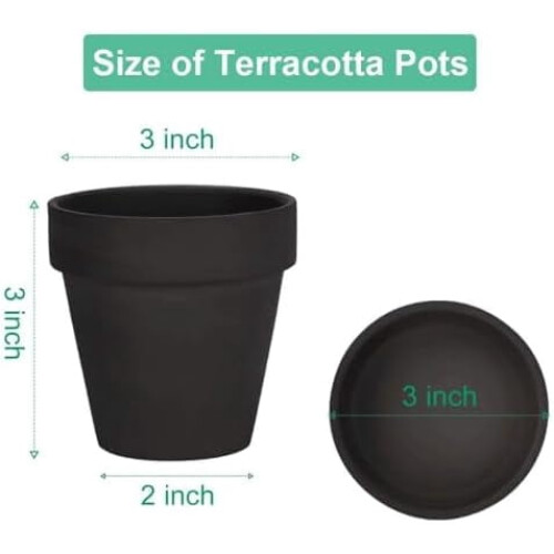 7,5 cm sorte terrakotta-lerpotter med underkop, 12-pak 1