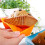 24Pcs Silicone Rectangular Baking Mold Cake Cups Reusable Baking Supplies Assorted Color 5