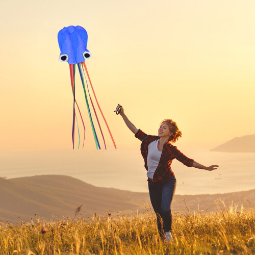 Χαρταετός Easy-Fly για ενήλικες, νάιλον χαρταετός 10 ποδιών με κορδόνι 50 μέτρων, 2
