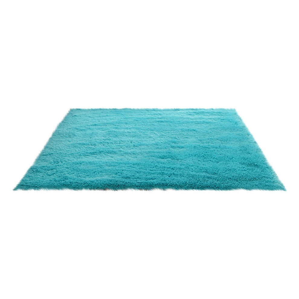 Fluffy Shag Area Rugs Soft Fuzzy Shaggy Rugs for Girls Bedroom Kids Room Carpet Furry Throw Dorm Rug 31 x 19 Inches