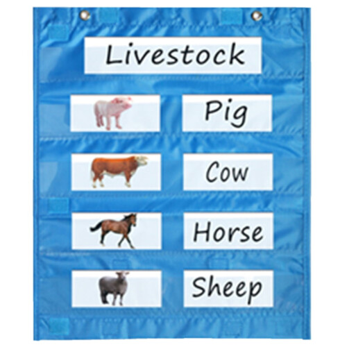 Magnetic Pocket Chart for Whiteboard, Magnetic Pocket Chart Squares for Class Demonstrations, Daily Schedule, Activity