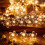 Flower Christmas Lights String LED 10FT Battery Powered 2