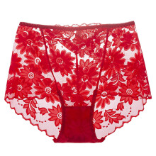 Slip da donna, slip in pizzo a vita alta senza cuciture, intimo comodo per tutti i giorni, slip a copertura totale, intimo da donna, rosso, L