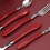 Set di posate HOFTEN in acciaio inox rosso, 20 pezzi 4