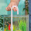 Water Change Pump Fish Tank White Plastic Water Changer Aquarium Accessory 4