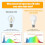 YANTON Full Spectrum LED-lamp 6000K A19E26 9W 4-pack 2