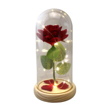 Roses en pot sous cloche de verre illuminées, idéales pour Noël, maman, épouse ou pour un anniversaire (9 x 7 x 15 cm).