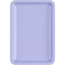 Professional Manicure Supply Holder Tray False Nails Dish Tools Stainless Steel Jewelry and Tool Tray