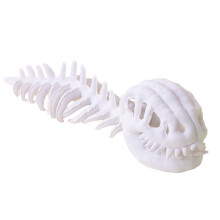 Pluche dinosaurusskelet outfit wit 3D-ontwerp
