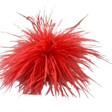 Struisverenbroche voor dames
