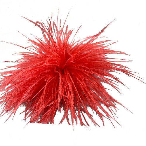 Struisverenbroche voor dames