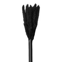 Dried Bunny Tails Bundle – Long-Lasting Black Grass for Weddings, Home Decor, Rustic Parties & Boho Scrapbooking