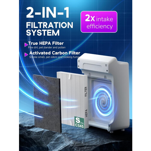 Winix C545 Ersatzfilter, echter HEPA-Filter, 2er-Pack 1