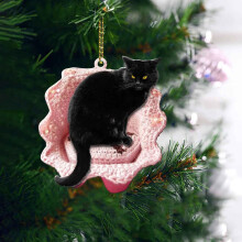 Black Cat Christmas Ornament Acrylic 2025