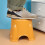 Stackable Plastic Utility Stool | Non-Slip Bathroom Step Stool | Compact Camping Kitchen Seat | Space Saving Household Step Ladder(Yellow) 6