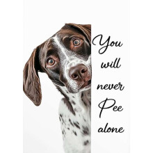 Affiche Braque allemand à poil court – Humour canin
