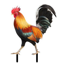 Estacas de Acrílico em Formato de Galo para Jardim, Decoração Externa, Estátuas de Galinha para Gramado/Pátio/Caminho – Compatíveis com
