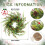 Artificial Cedar Pine Christmas Wreath with Red Berries 9 3