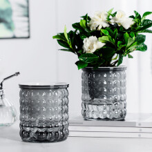 (Transparent Gray) Self-Watering Hydroponic Planter - Modern Home Decor