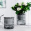 (Transparent Gray) Self-Watering Hydroponic Planter - Modern Home Decor 1