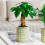 (Green) Self-Watering Hydroponic Planter - Modern Home Decor 1