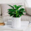 (Pure White) Self-Watering Hydroponic Planter - Modern Home Decor 1