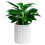 (Pure White) Self-Watering Hydroponic Planter - Modern Home Decor 3