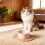 Pet Water Fountain Ceramic USB Heated 1 Pc 1