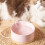 Pet Water Fountain Ceramic USB Heated 1 Pc 4