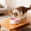 Pet Water Fountain Ceramic USB Heated 1 Pc 5
